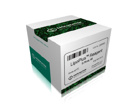Sage LipoPlus ® DNA转染试剂
