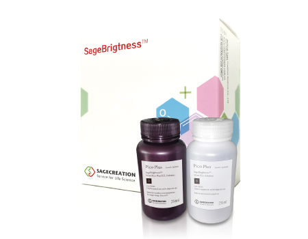 SageBrightness ® ECL化学发光底物试剂盒