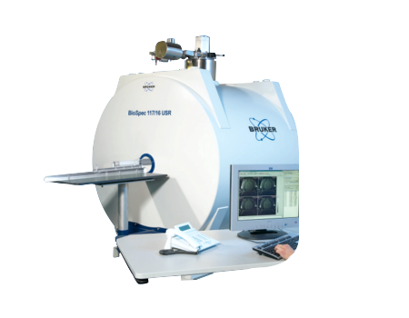 Bruker BioSpec Preclinical MRI Instruments