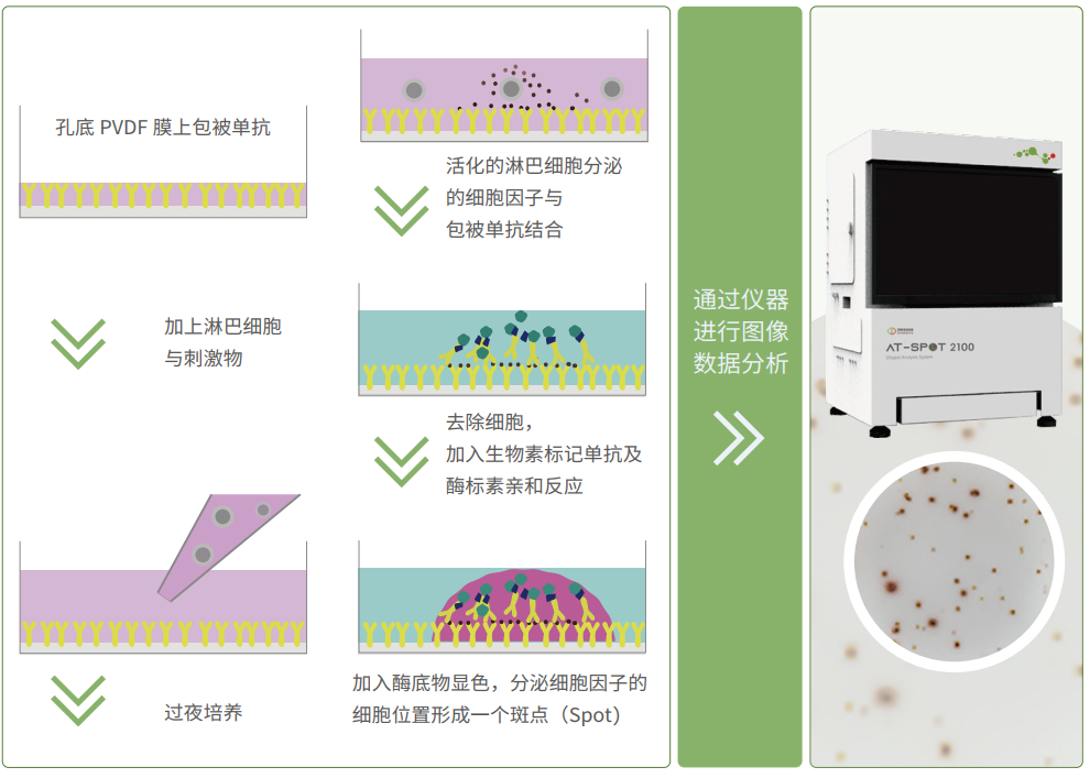 联想截图_20230607141153.png