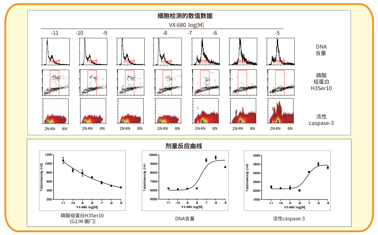 应用8 细胞周期分析.png