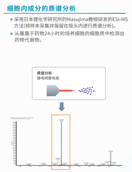 细胞内成分的质谱分析.png