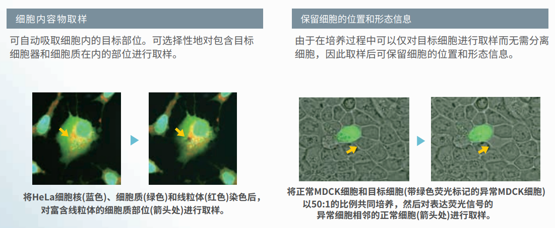 核心技术-1.png