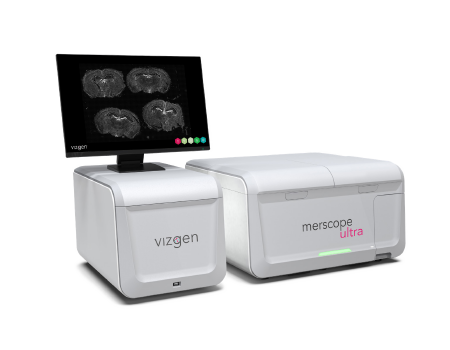 MERSCOPE Large Field-of-View Ultra High-Resolution Single-Cell In-Situ Spatial Omics Analysis Platform