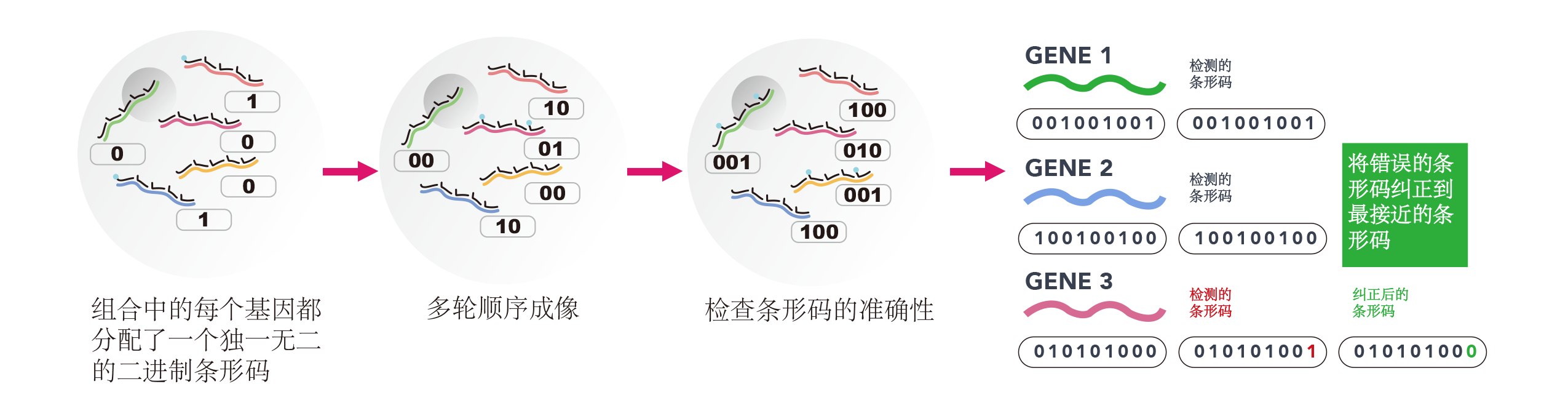 MERFISH工作原理.png