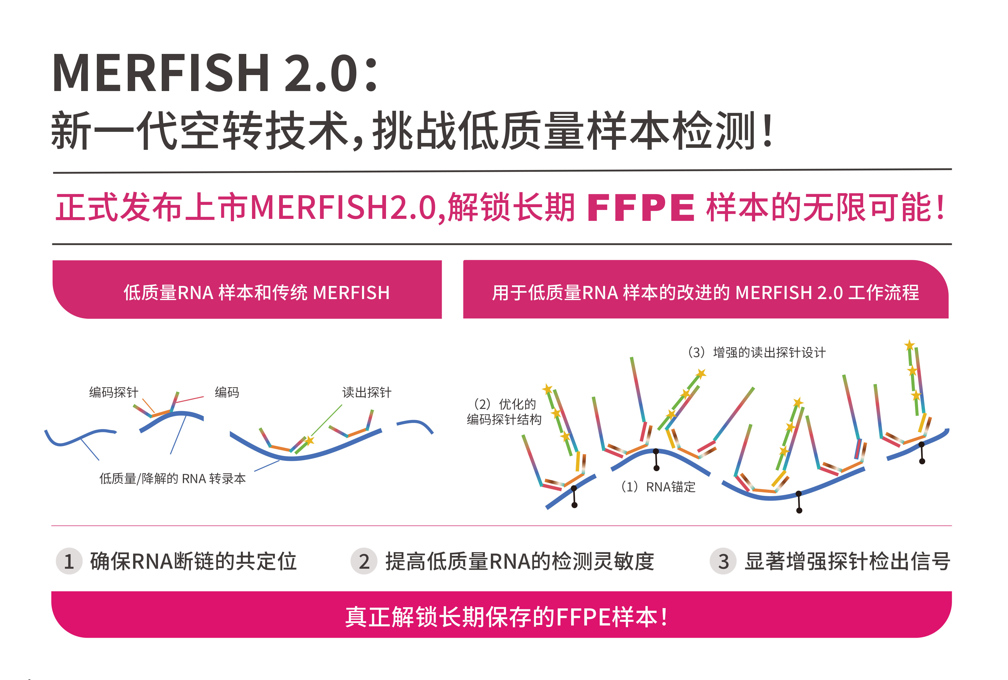 MERFISH 2.0.jpg