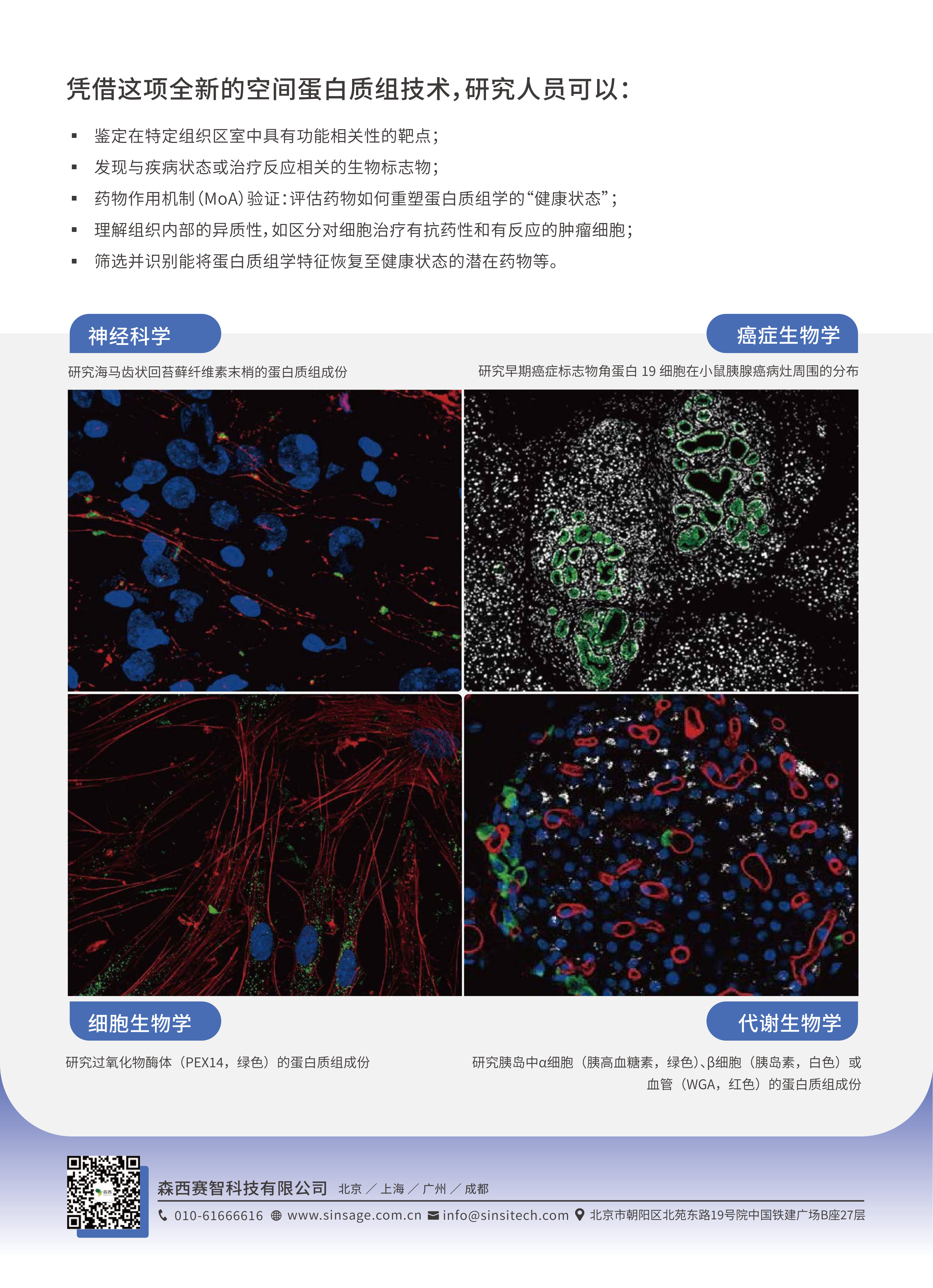 Syncell发布宣传2P单20260414-阅读_02.png