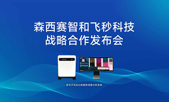 森西赛智发布和飞秒科技的战略合作，开启类器官无标记成像分析新时代！